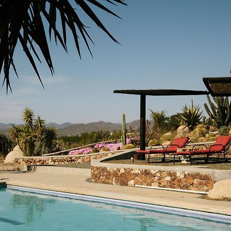 La Villa Del Valle Valle de Guadalupe Exterior foto