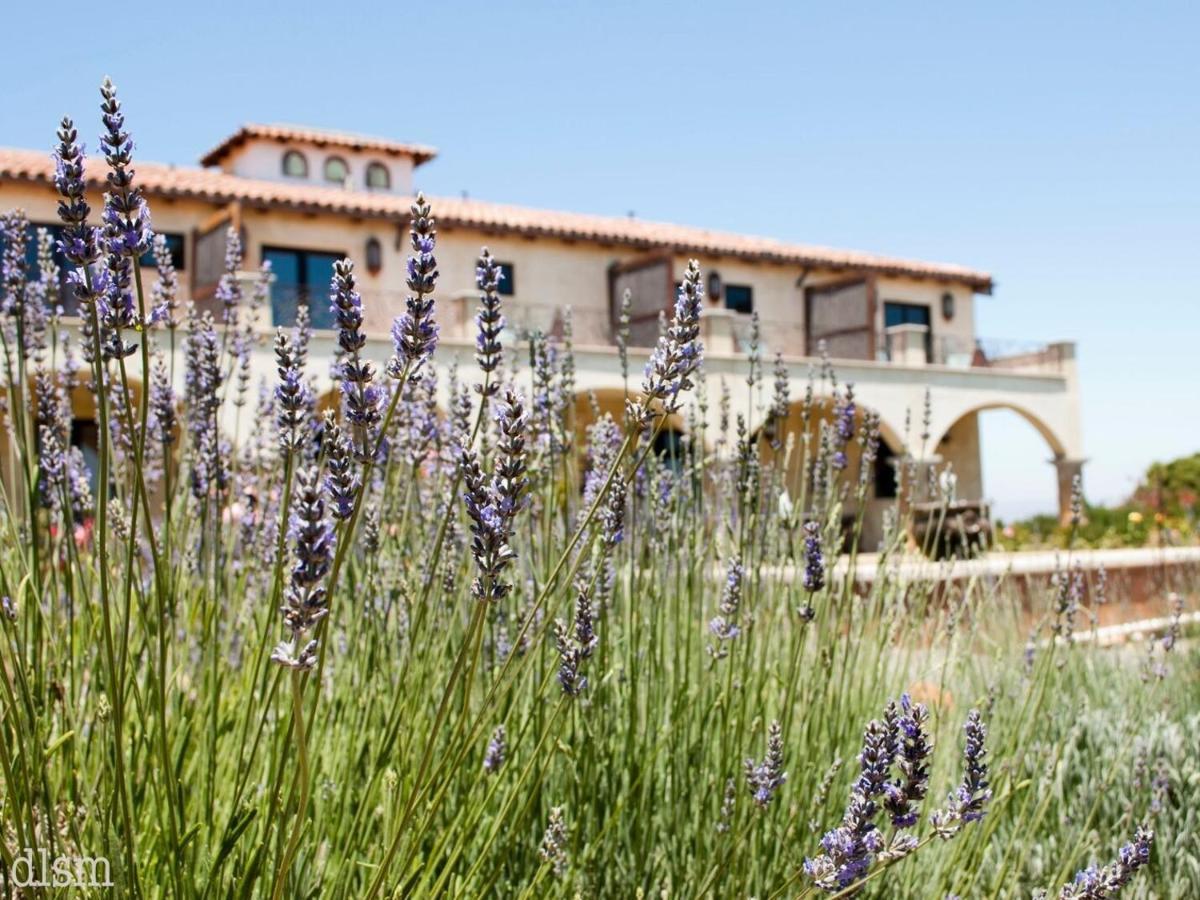 La Villa Del Valle Valle de Guadalupe Exterior foto