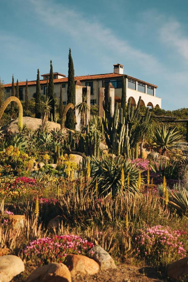 La Villa Del Valle Valle de Guadalupe Exterior foto